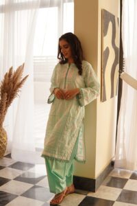 2Pc Women ‘s Stitched Chikankari suit