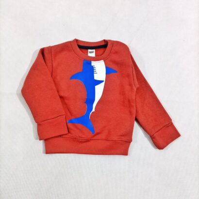 kids sweatshirt