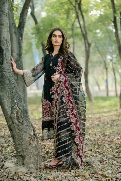 Tarkashi | Luxury Pret TKP2201 (Stitched Women Clothes)