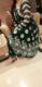 party wear dresses