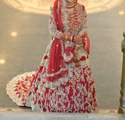 Bridal Dress/Bridal lehnga