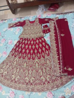 New design Bridal lehnga blood Red color with pure kora work