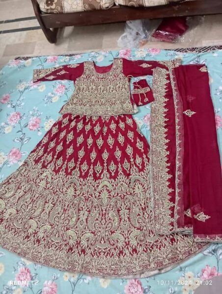 New design Bridal lehnga blood Red color with pure kora work