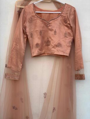 Pastel Peach Lehnga Choli (Extra Small)