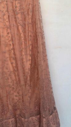 Pastel Peach Lehnga Choli (Extra Small)