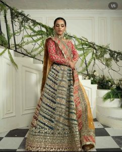 dress Kaam wala and embroidery