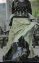 A beautiful lehenga with black choli